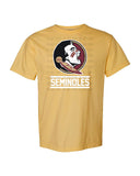 FSU PNG Digital Design