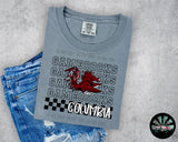 Stacked Checkered SEC Bundle *16 TEAMS -- 29 DESIGNS* PNG Digital Design