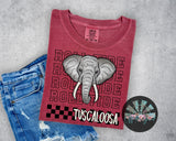 Stacked Checkered SEC Bundle *16 TEAMS -- 29 DESIGNS* PNG Digital Design