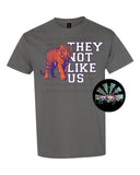 They not like us Clemson PNG Digital Download (You get all THREE files)