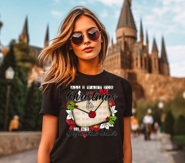 All I want for Christmas is my Hogwarts Letter T-Shirt and Sweatshirt