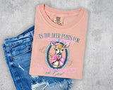 As The Deer Pants Psalm 42:1 T-Shirt and Sweatshirt