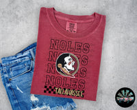 Stacked Checkered FSU Noles PNG Digital Design