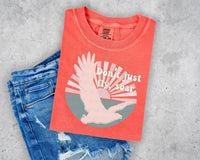 Don't Just Fly, Soar T-Shirt