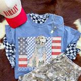 God Bless America Lab T-Shirt and Sweatshirt