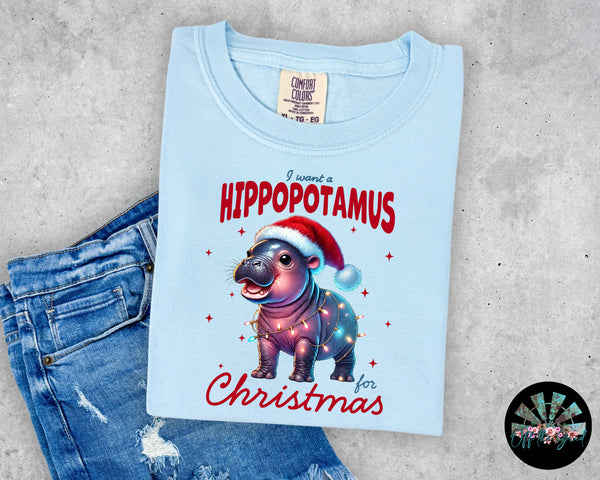 I want a Hippopotamus for Christmas T-Shirt and Sweatshirt