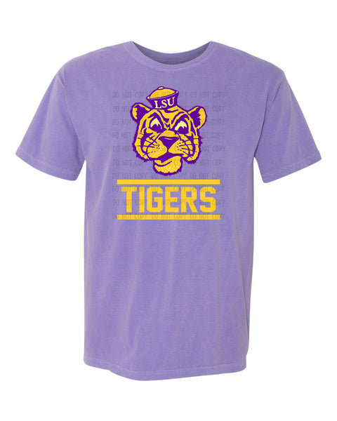 LSU PNG Digital Design