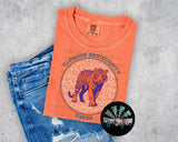 Leopard Circle Clemson Tigers PNG Digital Design -- You get FOUR Designs