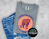 Leopard Circle Clemson Tigers PNG Digital Design -- You get FOUR Designs