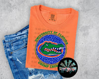 Leopard Circle FL Gators PNG Digital Design -- You get SIX Designs