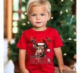 Tis the Season Deer T-Shirt