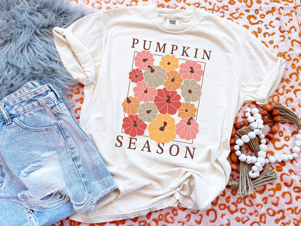 Retro Pumpkin Season T-Shirt and Sweatshirt