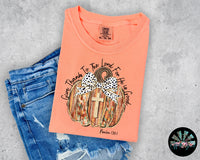 Give Thanks to the Lord Brushstroke Pumpkin T-Shirt and Sweatshirt
