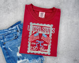 United States of America 250 Years T-Shirt and Sweatshirt