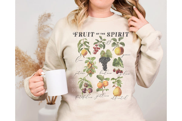 Fruit of the Spirit T-Shirt and Sweatshirt